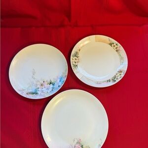 Lot of 3 Vintage Thomas Bavaria German Hand-Painted Porcelain Floral Plates